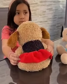 T3427003_A nora malvada não gosta da sogra e é isso que ela fazia
